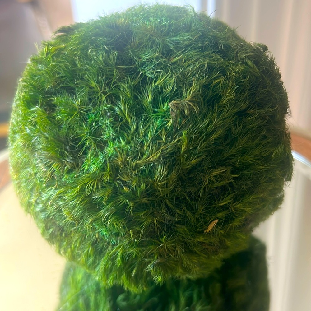 NWT K&K Green 4” Faux Floral Accent